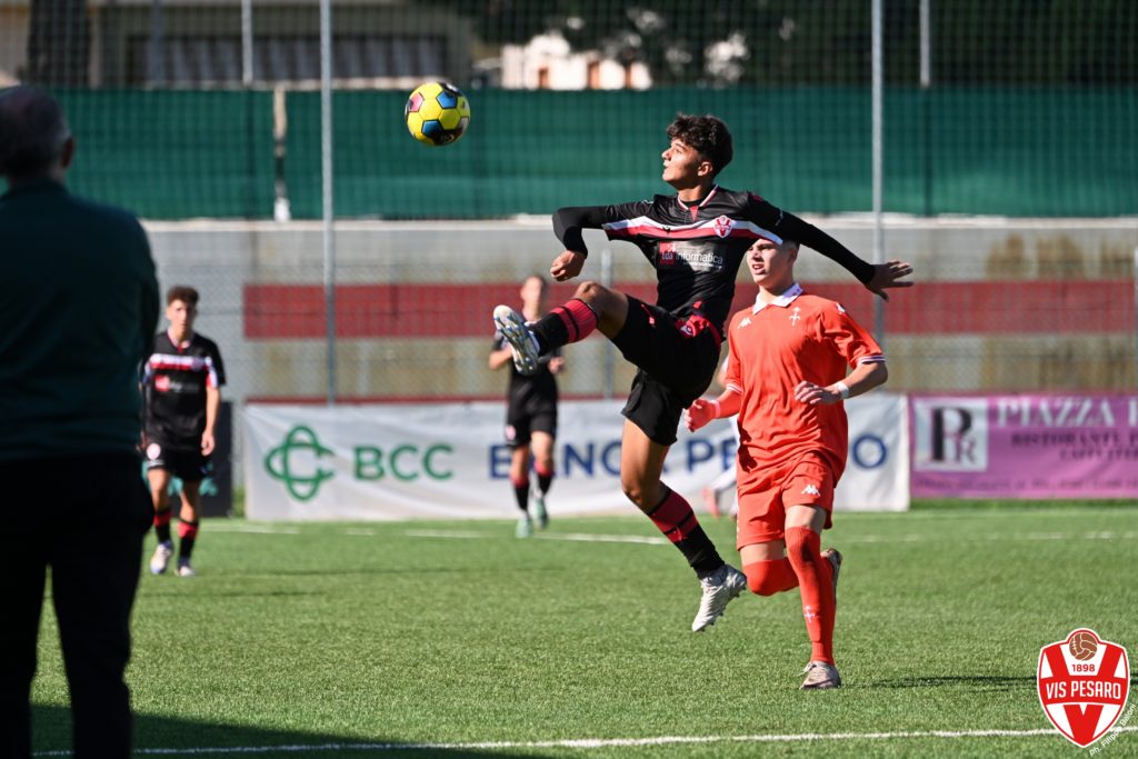 vis pesaro u17